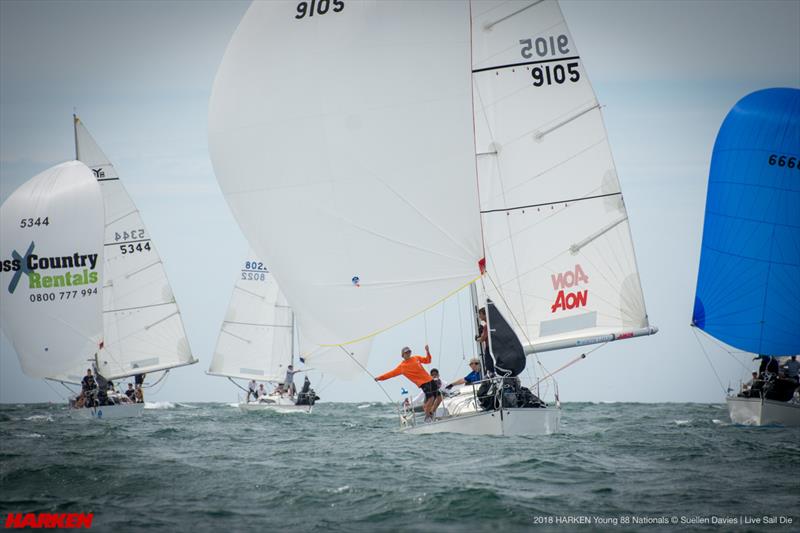 2018 Harken Young 88 National Championship photo copyright Suellen Davies taken at Royal New Zealand Yacht Squadron and featuring the Young 88 class
