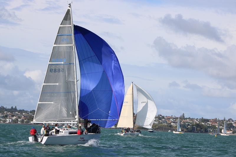 Perfect Alibi - 2018 Jack Tar Auckland Regatta - Day 1 - photo © Andrew Delves