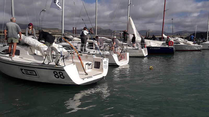 2019 South Island Young 88 Championship - Day 1 photo copyright Craig Edwards taken at  and featuring the Young 88 class