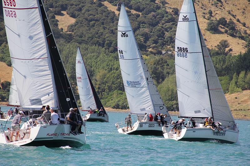 2019 South Island Young 88 Championship - photo © Craig Edwards