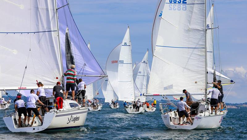 2019 Harken Young 88 National Championships - photo © Rachel von Zalinski