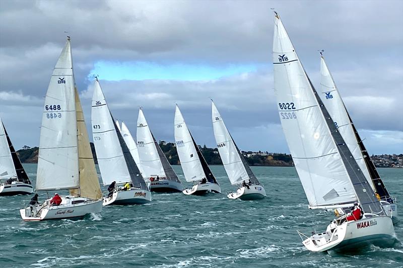 Young 88 two-handed champs - Bucklands Beach Yacht Club - Auckland - May 2020 photo copyright Young 88 Owners Association taken at Bucklands Beach Yacht Club and featuring the Young 88 class