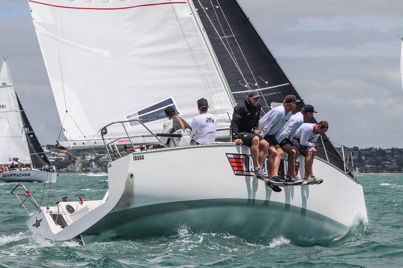 Dangerzone beating to windward - 2020 Young 88 National Championships photo copyright Andrew Delves taken at Royal New Zealand Yacht Squadron and featuring the Young 88 class