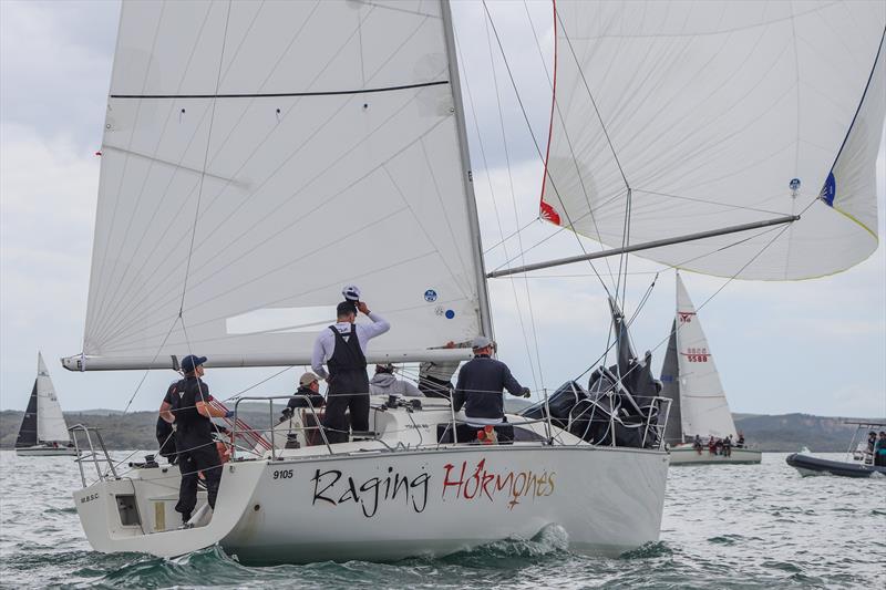 Victorious Raging Hormones - 2020 Young 88 National Championships photo copyright Andrew Delves taken at Royal New Zealand Yacht Squadron and featuring the Young 88 class