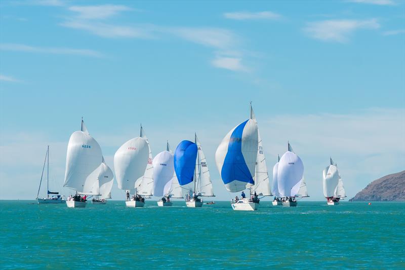 Young 88 South Island Champs 2021 photo copyright Jasmine Jellyman taken at Naval Point Club Lyttelton and featuring the Young 88 class