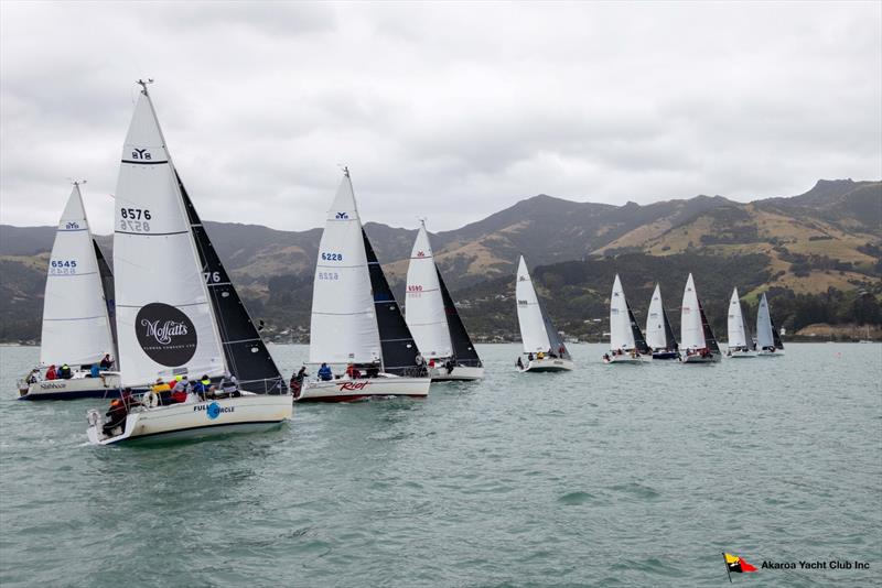 North Sails Southern Young 88 Nationals - Akaroa Harbour, New Zealand photo copyright Alister Winter taken at  and featuring the Young 88 class