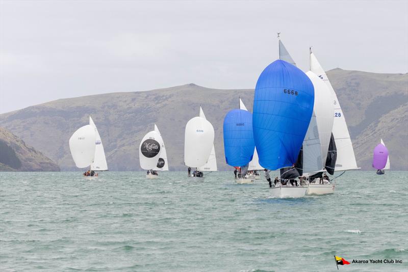 North Sails Southern Young 88 Nationals - Akaroa Harbour, New Zealand photo copyright Alister Winter taken at  and featuring the Young 88 class