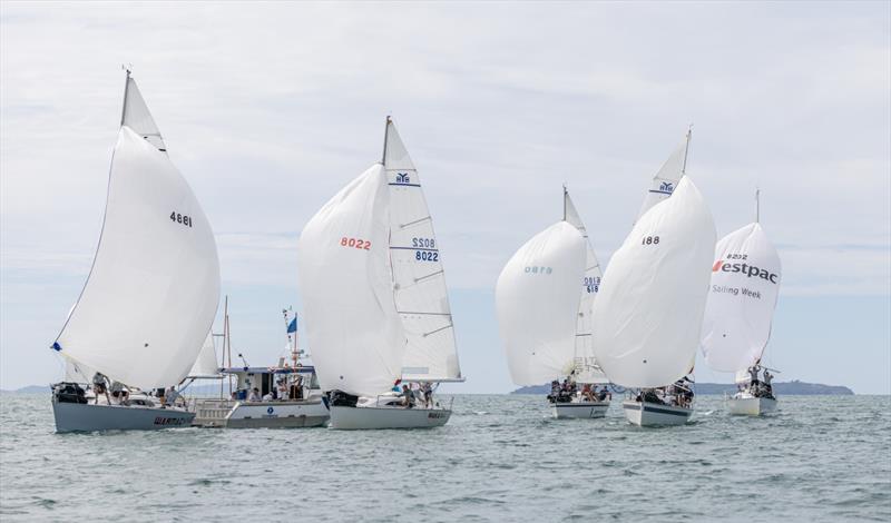 Close racing - 2022 Harken Young 88 Nationals - February 2022 photo copyright Suellen Hurling taken at Royal New Zealand Yacht Squadron and featuring the Young 88 class