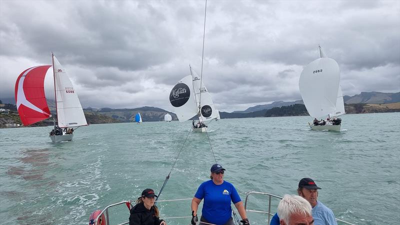 Young 88 South Island Championships - March 2023 photo copyright Young 88 Assoc taken at Royal New Zealand Yacht Squadron and featuring the Young 88 class