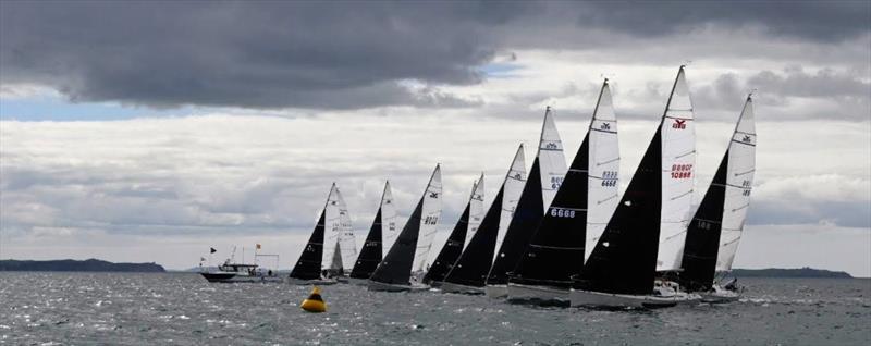 2023 Harken Young 88 National Championships photo copyright Young88 Assoc taken at Royal New Zealand Yacht Squadron and featuring the Young 88 class